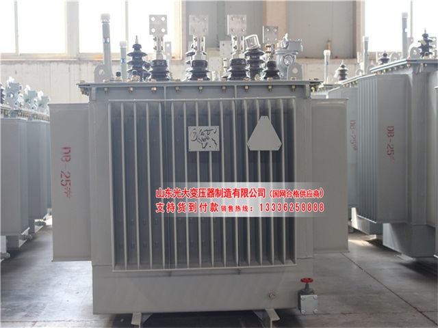 绵阳S13-800KVA油浸式变压器